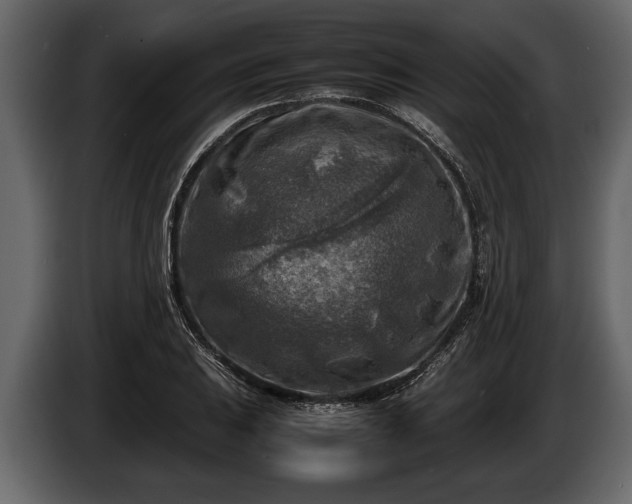 X0000085731031200703231044