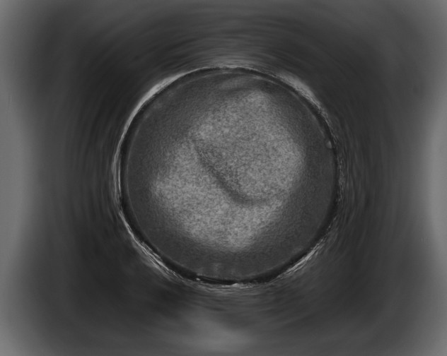 X0000085731032200703231044