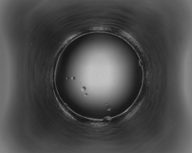 X0000085731033200703231044