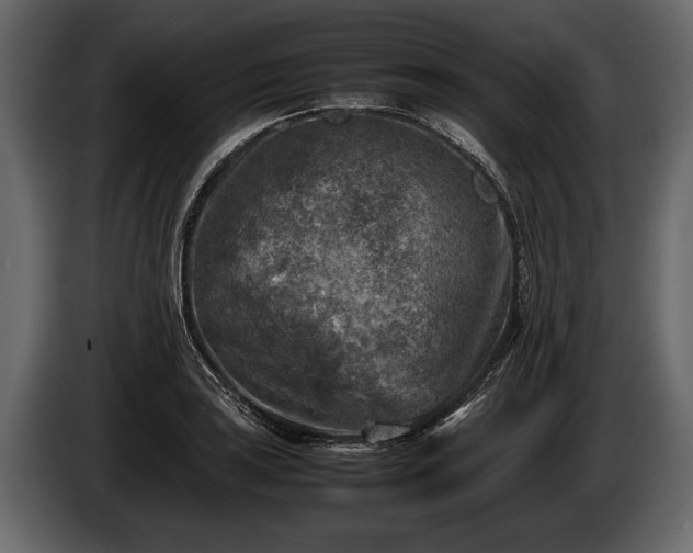 X0000085731035200703231044