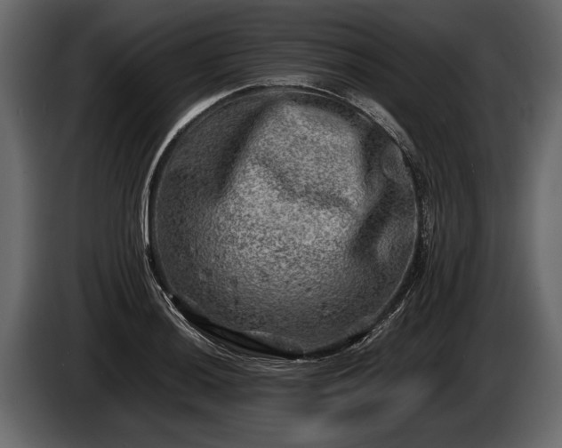 X0000085731036200703231044