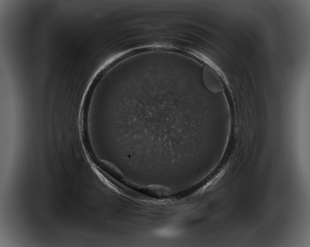 X0000085731037200703231044