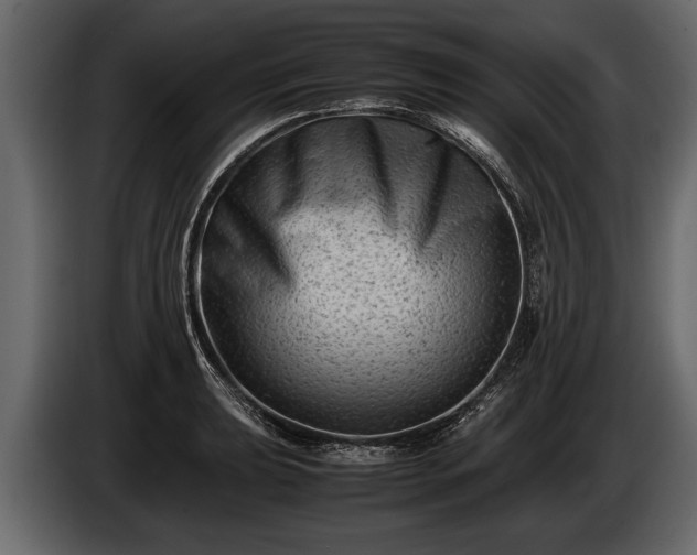 X0000085731039200703231044