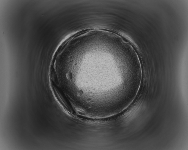 X0000085731040200703231044