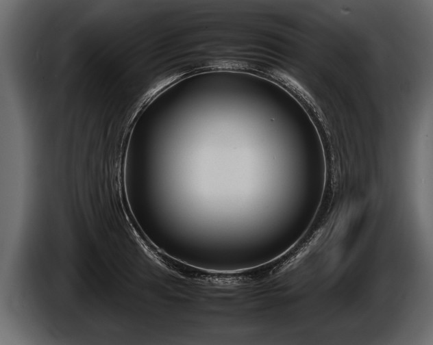 X0000085731041200703231044