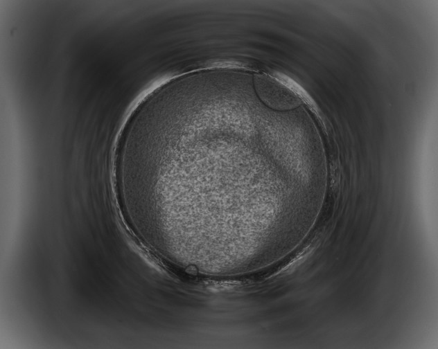 X0000085731043200703231044