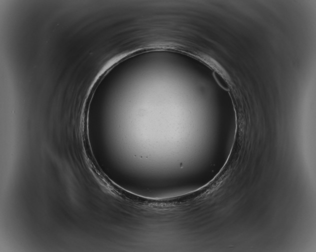 X0000085731044200703231044