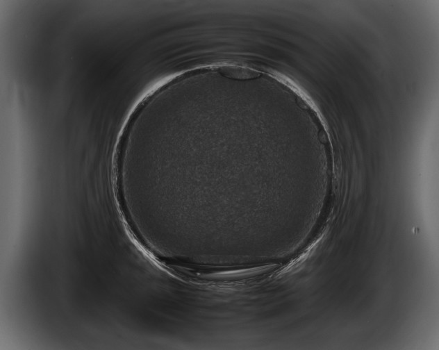 X0000085731045200703231044