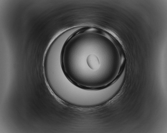 X0000085731046200703231044