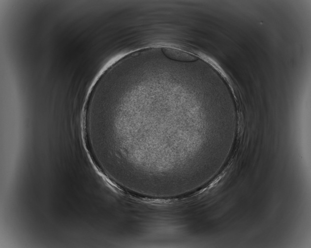 X0000085731048200703231044