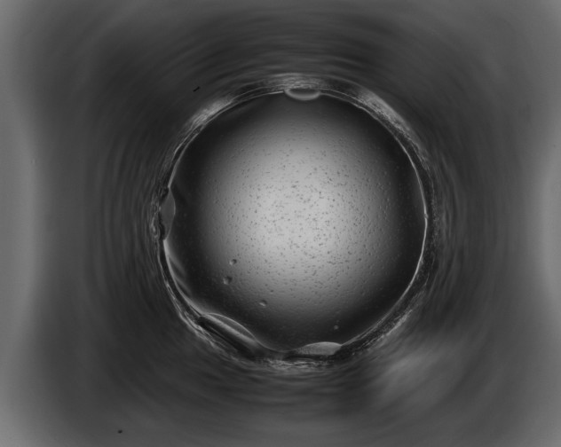 X0000085731049200703231044