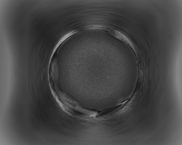 X0000085731050200703231044