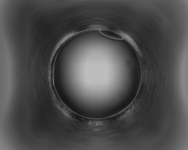 X0000085731051200703231044