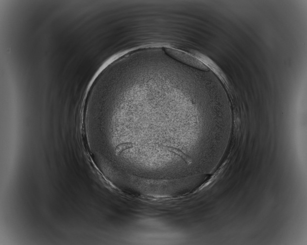 X0000085731052200703231044