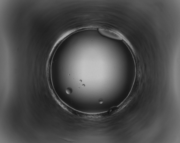 X0000085731053200703231044