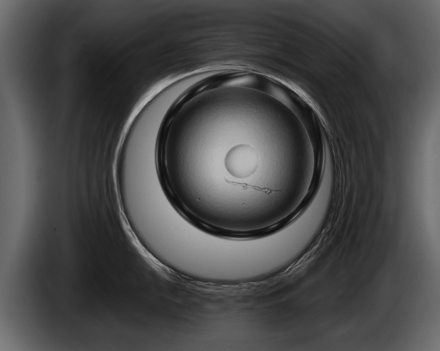 X0000085731054200703231044