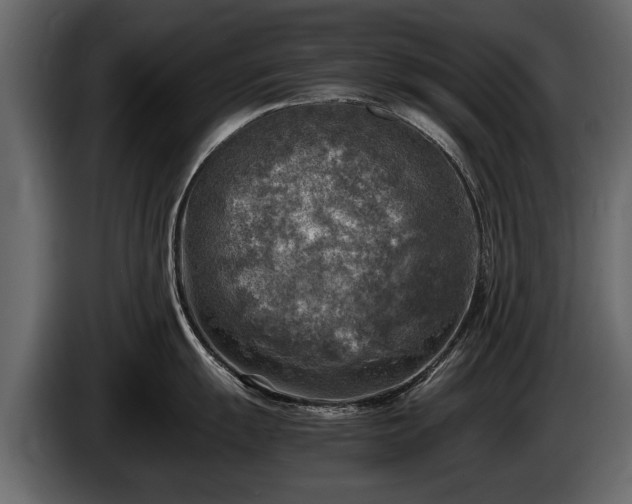 X0000085731055200703231044