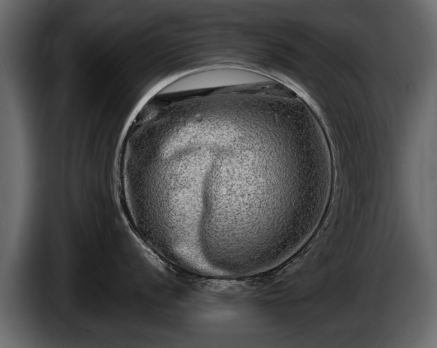 X0000085731056200703231044