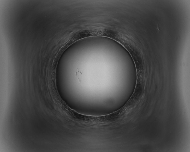 X0000085731057200703231043