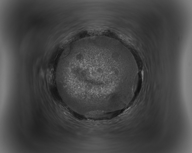 X0000085731059200703231043