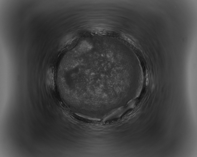 X0000085731060200703231043