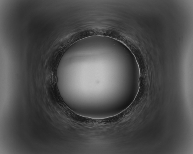 X0000085731061200703231043