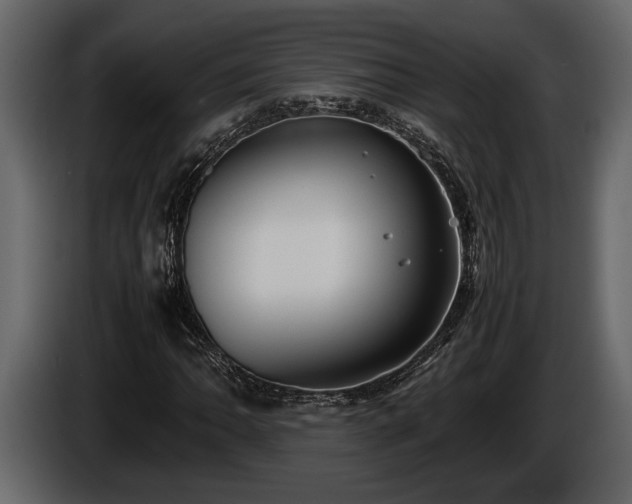 X0000085731062200703231043