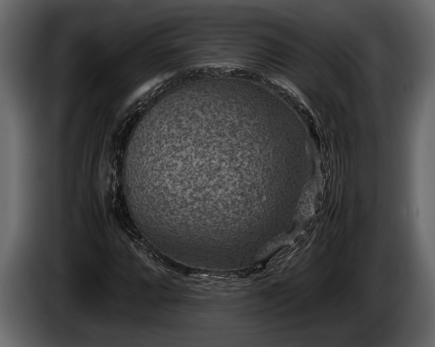 X0000085731064200703231043