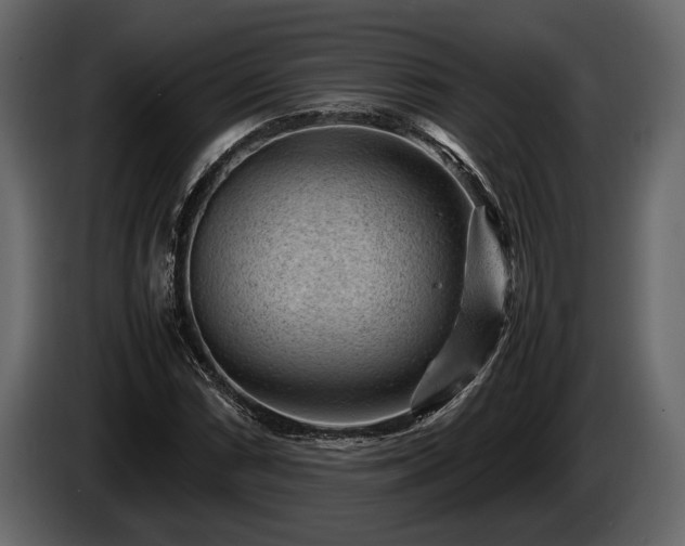 X0000085731066200703231043