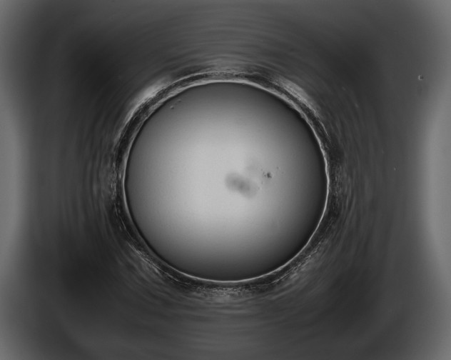 X0000085731067200703231043