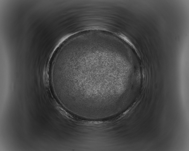 X0000085731068200703231043