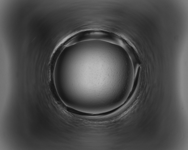 X0000085731069200703231043