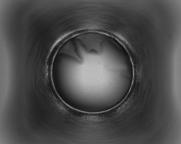 X0000085731070200703231043