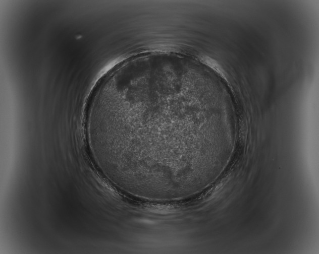 X0000085731071200703231043