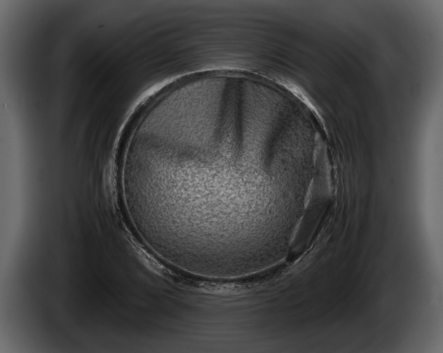 X0000085731072200703231043