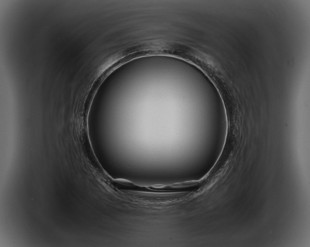 X0000085731073200703231043