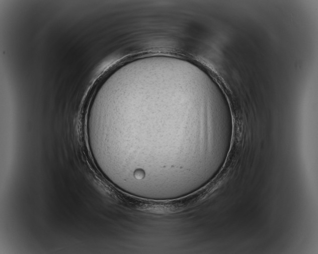 X0000085731074200703231043