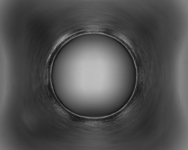 X0000085731075200703231043