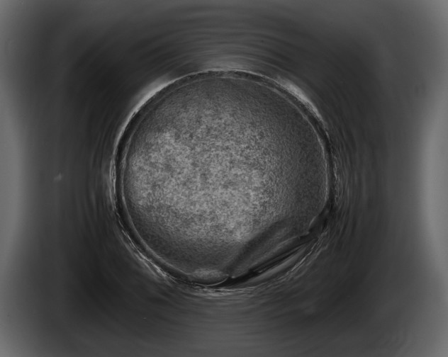 X0000085731076200703231043