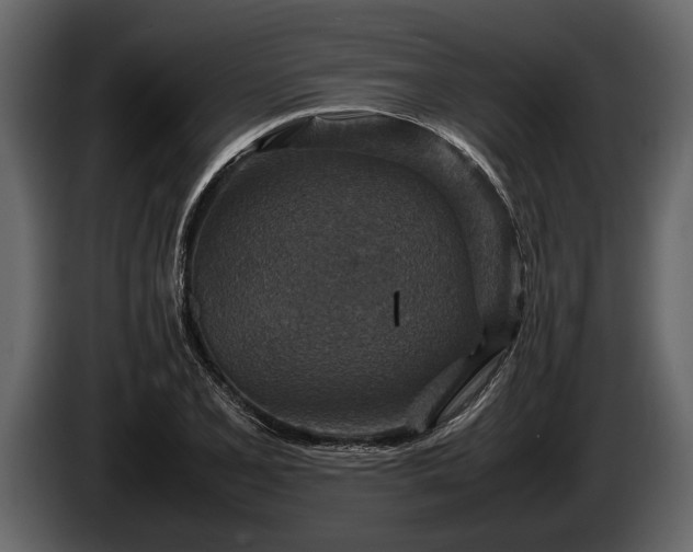 X0000085731077200703231043