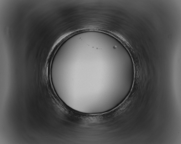 X0000085731078200703231043