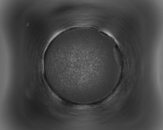 X0000085731079200703231043