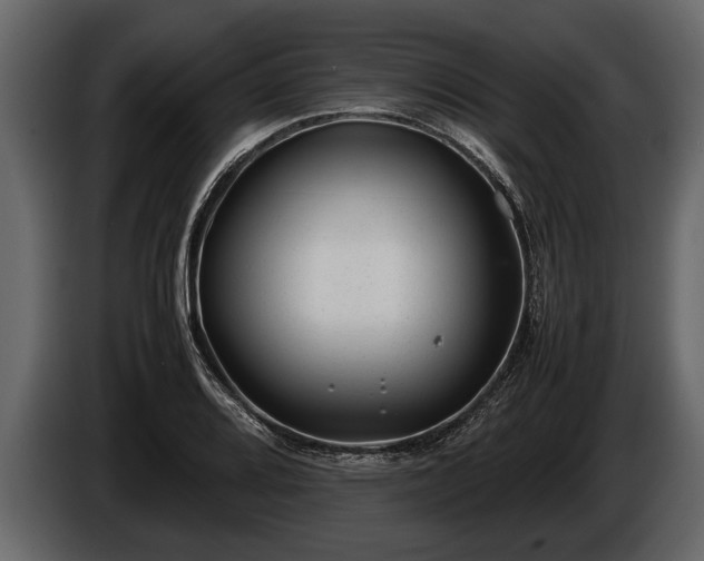 X0000085731080200703231043