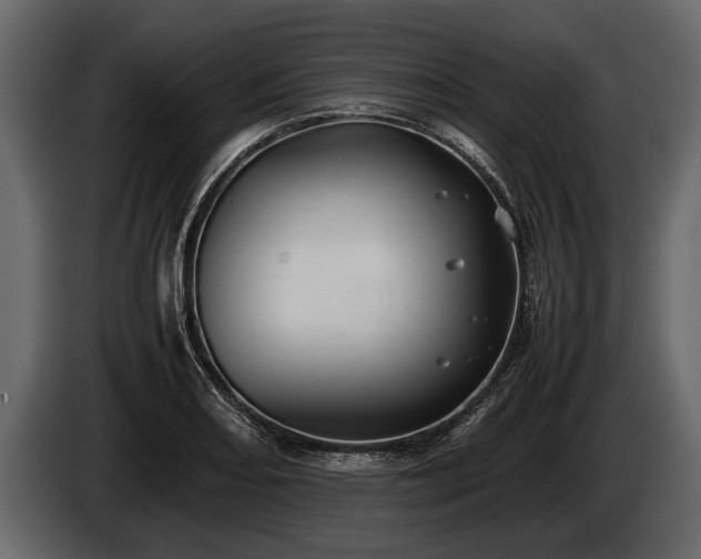 X0000085731082200703231043