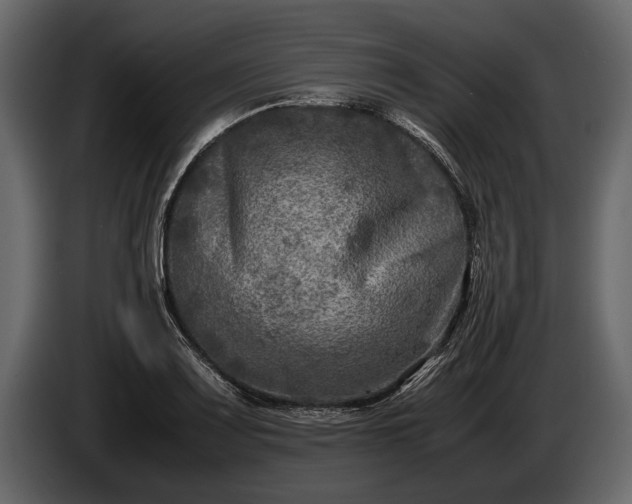 X0000085731083200703231043