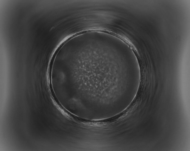 X0000085731084200703231043