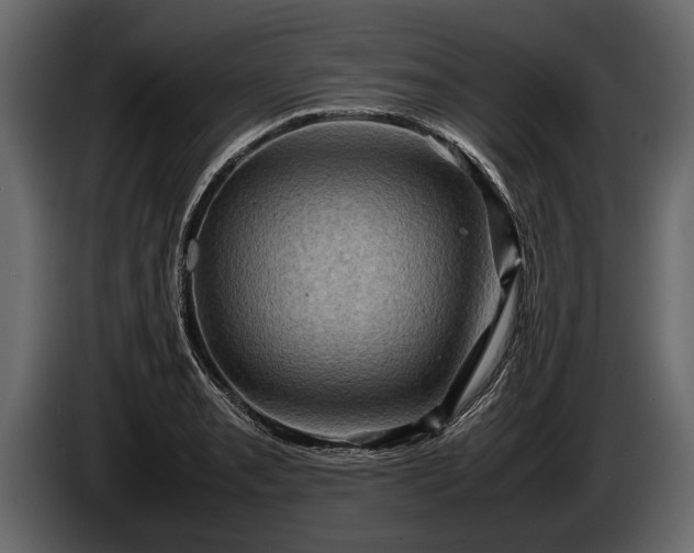 X0000085731085200703231043