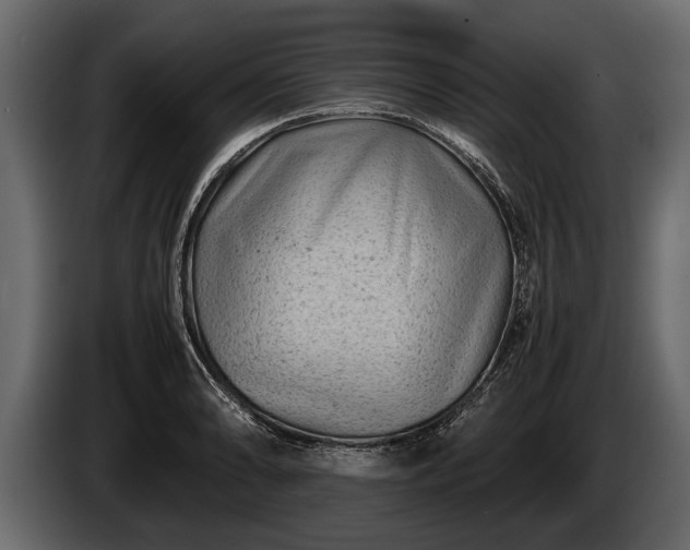 X0000085731086200703231043