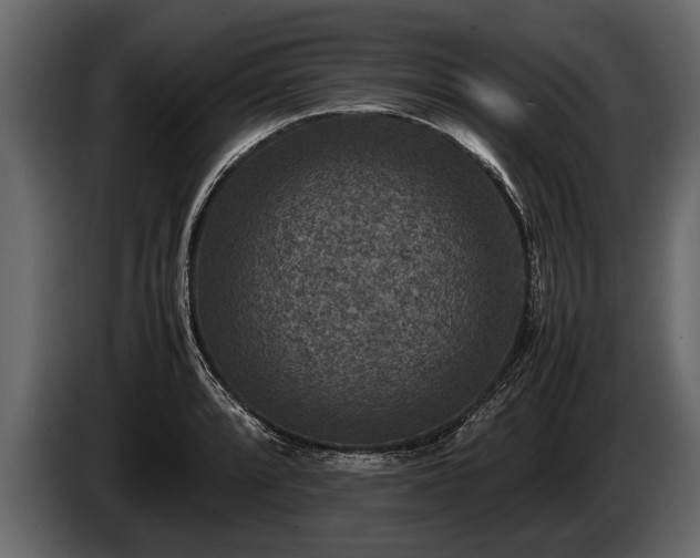 X0000085731088200703231043