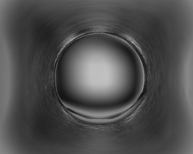 X0000085731089200703231043